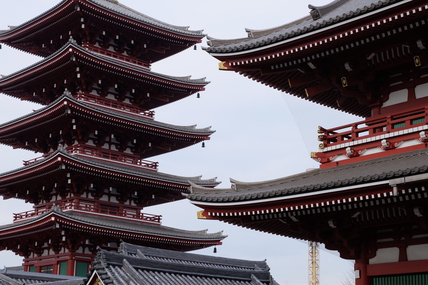 Групповой тур "Летние каникулы" токио - камакура - иокогама"